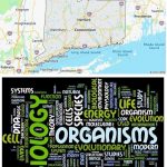 Top Biological Sciences Schools in Connecticut