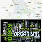 Top Biological Sciences Schools in Missouri